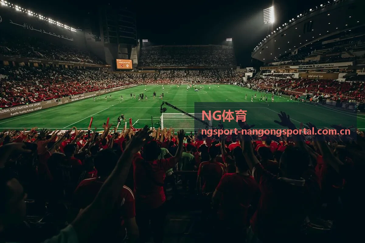NG体育观赛指南深夜场景配图